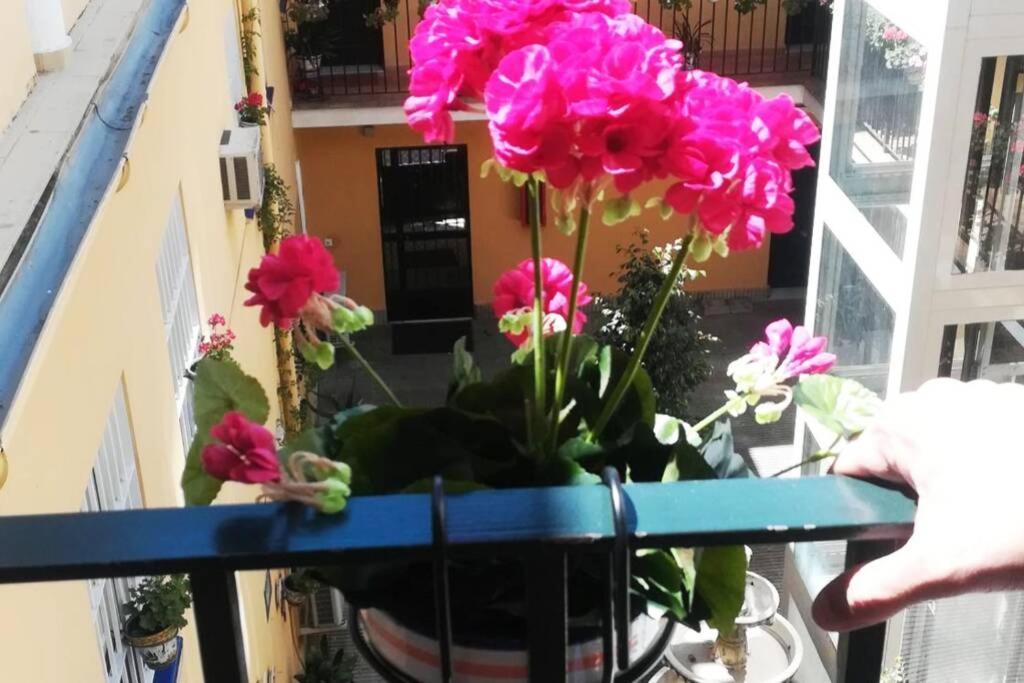 塞维利亚El Patio De San Bernardo公寓 外观 照片