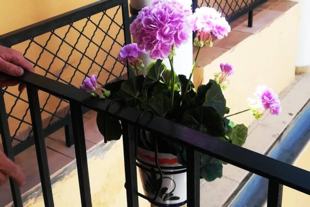 塞维利亚El Patio De San Bernardo公寓 外观 照片