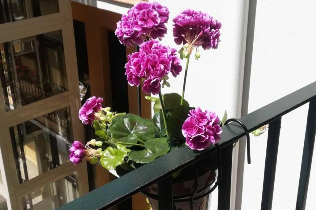 塞维利亚El Patio De San Bernardo公寓 外观 照片