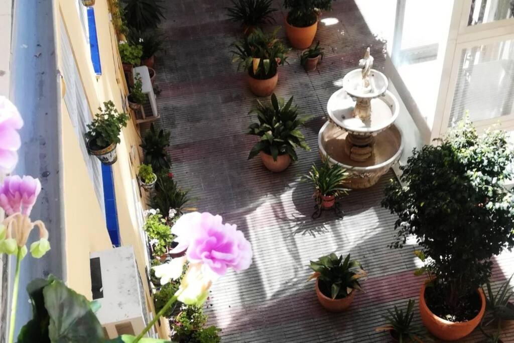 塞维利亚El Patio De San Bernardo公寓 外观 照片