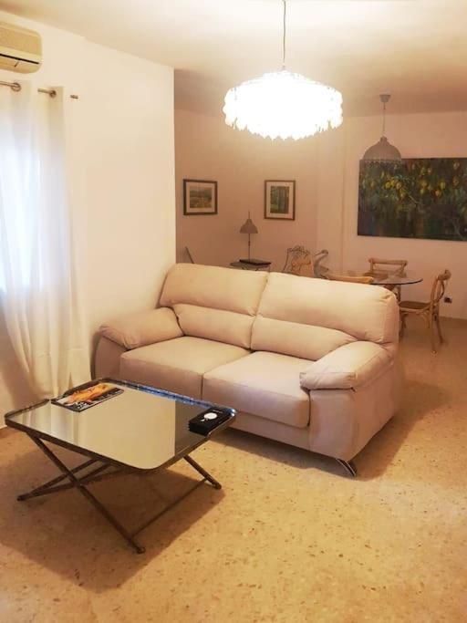 塞维利亚El Patio De San Bernardo公寓 外观 照片