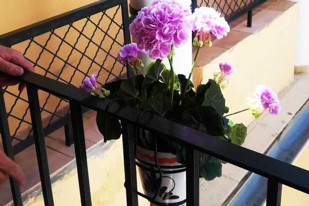 塞维利亚El Patio De San Bernardo公寓 外观 照片