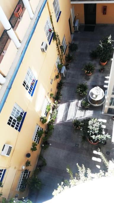 塞维利亚El Patio De San Bernardo公寓 外观 照片